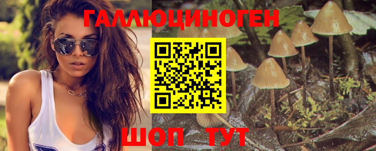 Заречный  Галлюциногенные грибы прущие грибы  Вход с VPN 