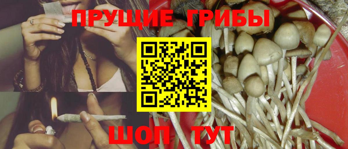 Псилоцибиновые грибы Psilocybe Заречный