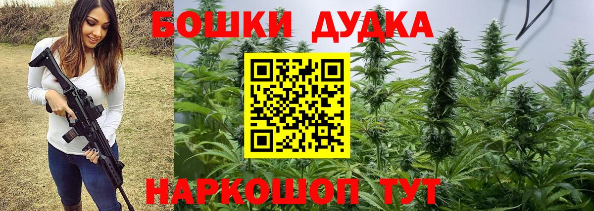 Канабис индика  МАРИХУАНА семена  Заречный  Вход с VPN 